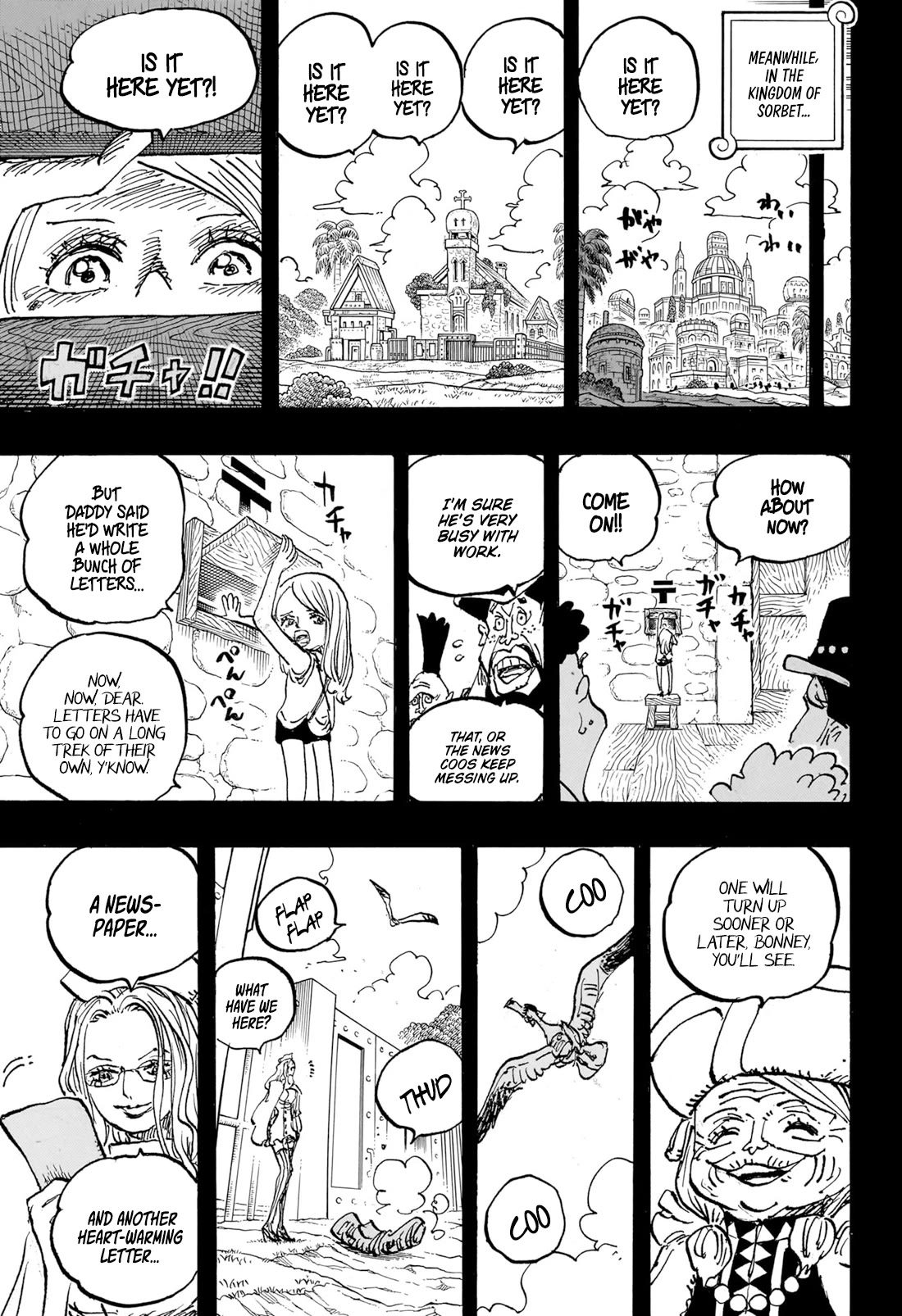 One Piece Chapter 1101 8